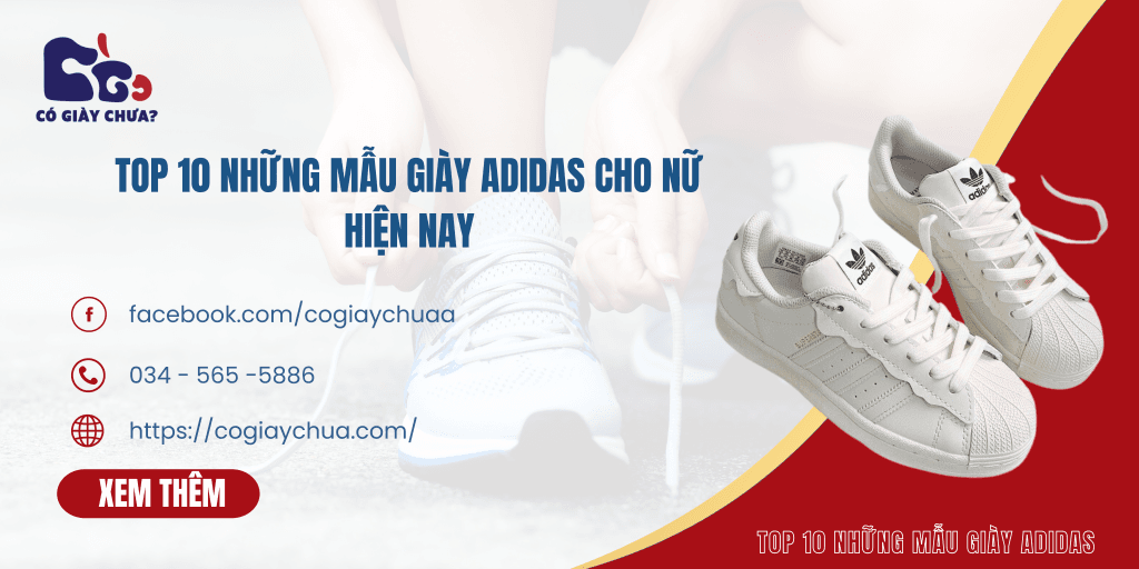 TOP 10 Những Mẫu Giày Adidas Cho Nữ Hiện Nay | Có Giày Chưa Những mẫu giày adidas cho nữ